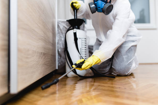 Best Mosquito Control Services  in Sterling Ranch, CO