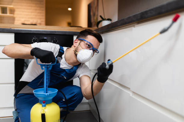 Best Pest Control Near Me in Sterling Ranch, CO
