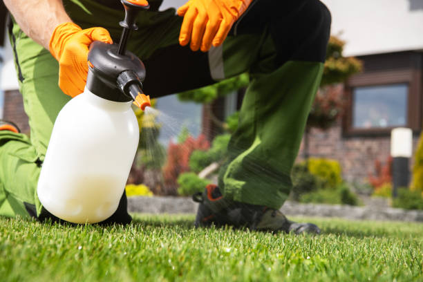 Best Best Pest Control Companies  in Sterling Ranch, CO